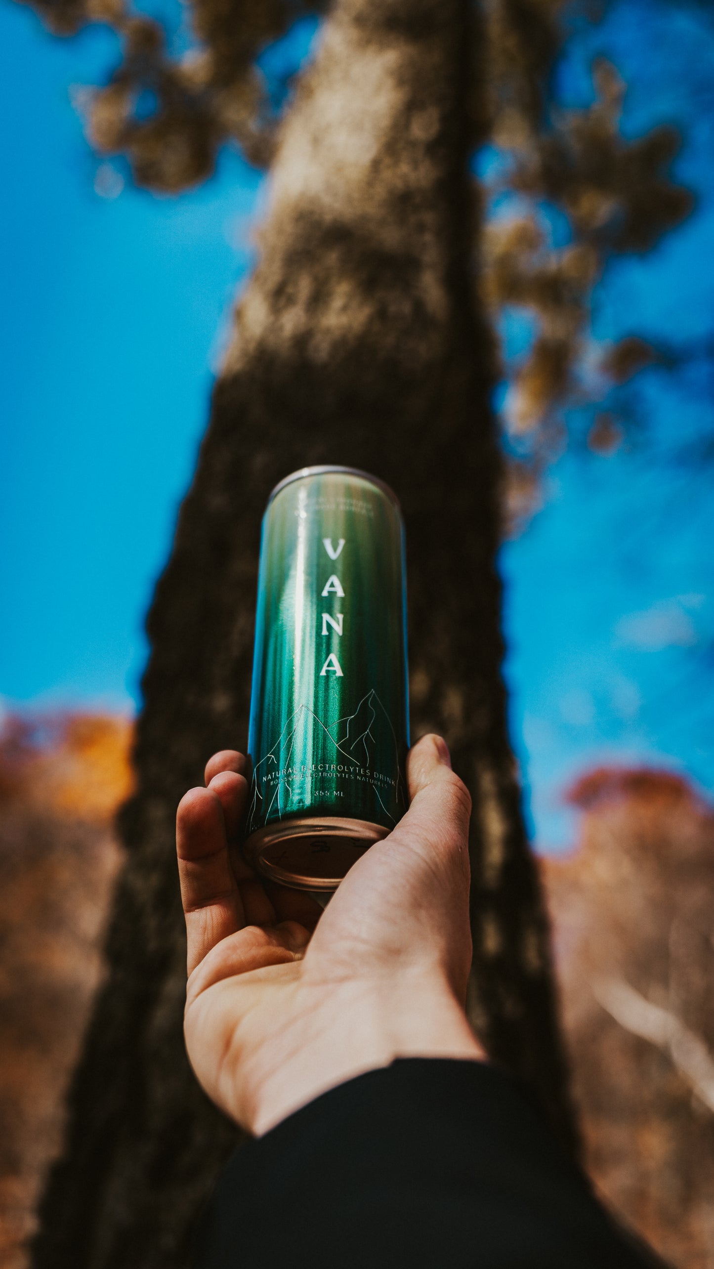 Boreal Lemonade (12 units)